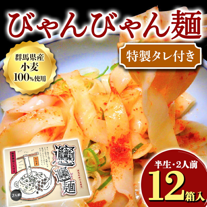 びゃんびゃん麺（半生・2人前）特製タレ付き×12箱入 中国 郷土料理 中華 ビャンビャン麺 めん  F4H-0054