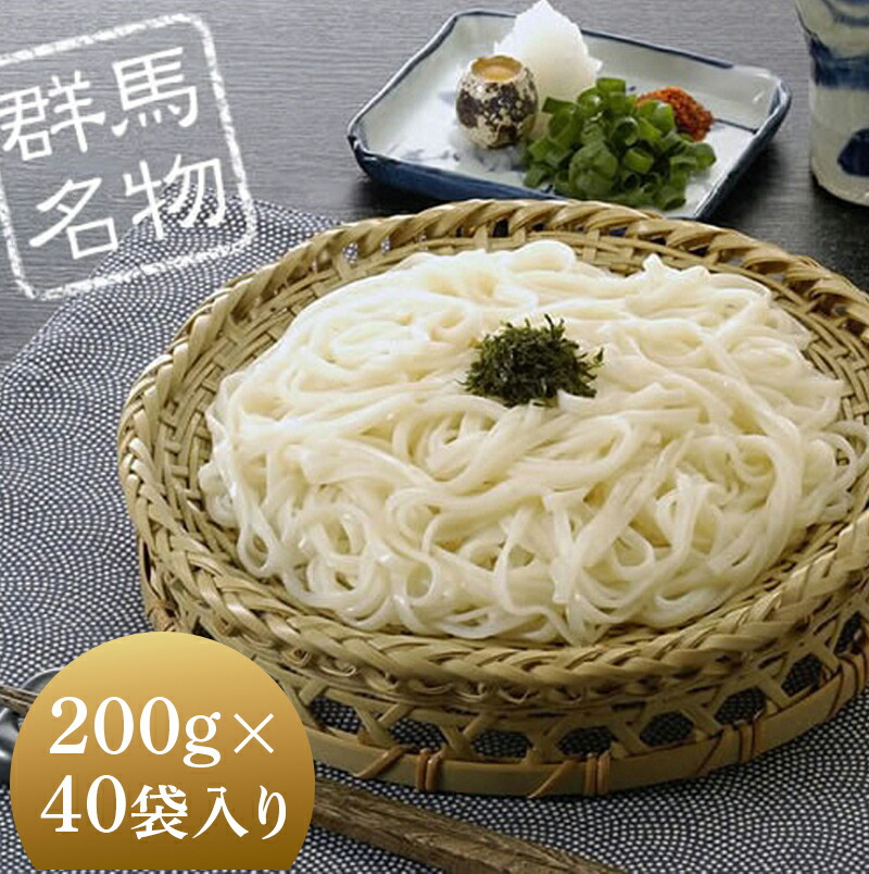 ふる里水沢(R)うどん200g（2人前）×40袋入り（約80人前） 麺 日本三大うどん 水沢  F4H-0055