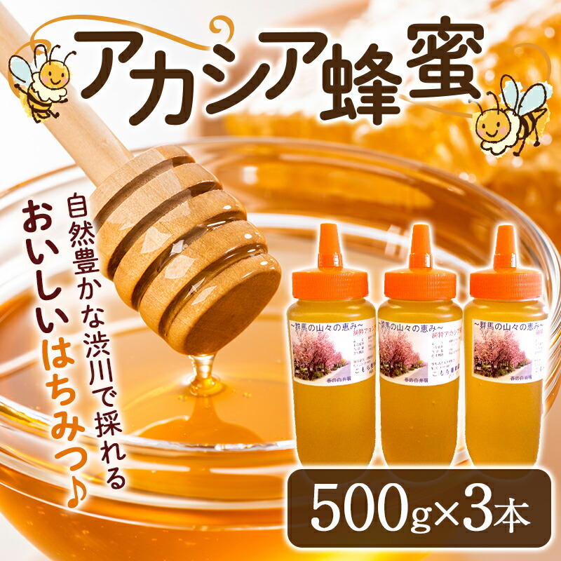 蜂蜜(アカシア)500g×3本セット はちみつ ハチミツ ハニー あかしあ とんがり容器 国産  F4H-0070