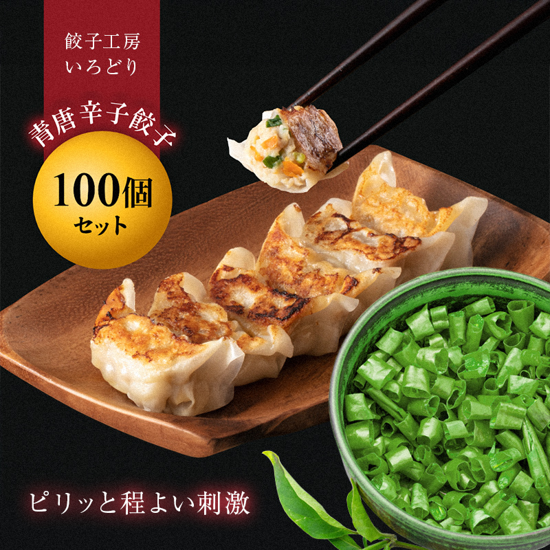 青唐辛子餃子100個セット 冷凍 焼餃子 水餃子 中華 ぎょうざ ギョーザ お弁当 おかず  F4H-0223