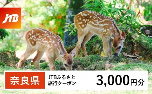 【奈良県】JTBふるさと旅行クーポン(3,000円分)有効期間3年(Eメール発行)|旅行 トラベル 予約 国内旅行 JTB 宿泊 観光 体験 旅行券 宿泊券 旅行予約  ホテル 旅館 チケット 子供 子連れ カップル 家族 人気 おすすめ 旅行クーポン 店頭 オンライン ネット予約 電話 有効期間3年