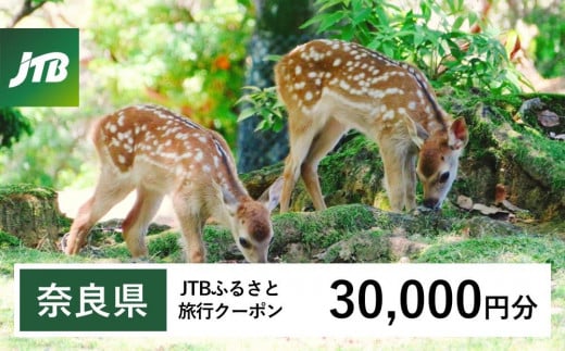 【奈良県】JTBふるさと旅行クーポン(30,000円分)有効期間3年(Eメール発行)|旅行 トラベル 予約 国内旅行 JTB 宿泊 観光 体験 旅行券 宿泊券 旅行予約  ホテル 旅館 チケット 子供 子連れ カップル 家族 人気 おすすめ 旅行クーポン 店頭 オンライン ネット予約 電話 有効期間3年