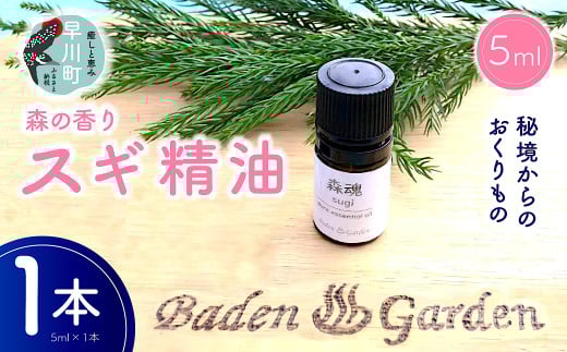 早川町産スギ精油 5ml