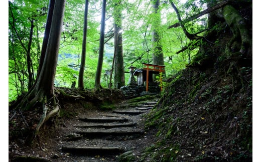 囲炉裏付き古民家に泊まり、登山ガイドと霊峰・七面山に登ろう!(宿泊体験チケット2名様分)