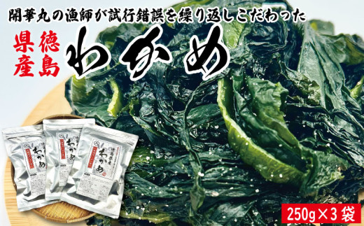 わかめ 250g×3袋 塩蔵 わかめ スープ ご飯 米 鮭 ホタテ いくら エビ かつお しらす サーモン まぐろ さば と一緒に 刺身 酢 魚 野菜 サラダ 味噌 味噌汁 みそ 海藻 のり 佃煮 ごはんのお供 徳島 松茂 マルハチ 岩本水産 開華丸の漁師が試行錯誤を繰り返しこだわった徳島県産わかめ