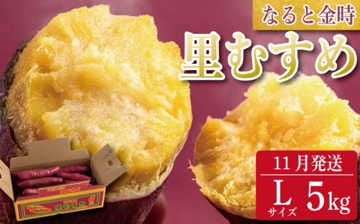 さつまいも 鳴門金時 5kg 2025年11月発送 なると金時 Lサイズ 里むすめ 芋 野菜 スイーツ スイート チップス 棒 箱 詰め 紅 甘い お菓子 金時 大学 種類 生 調理 干し芋 焼き芋 ホクホク ケーキ 産地直送 黄 ふるさと ギフト 年 日 徳島 鳴門