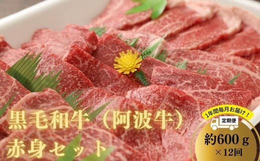 【定期便12回】 阿波牛 赤身焼肉セット 600g 冷凍 国産 黒毛和牛 阿波牛 和牛 牛肉 セット 赤身 マル イチボ クリ カメノコ トウガラシ バーベキュー BBQ