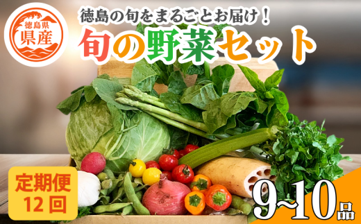野菜 セット 9~10品 定期便 12回 季節 旬 野菜 詰め合せ 国産 季節 旬 おまかせ 産地直送 春野菜 夏野菜 秋野菜 葉物 果物 果菜 根菜 冷蔵 野菜室 ダイエット 食 栄養食 加工品 カット野菜