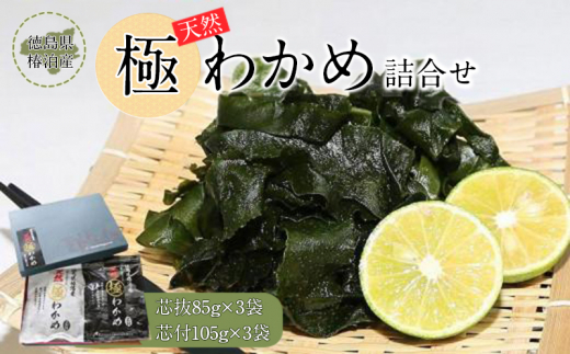 わかめ 天然 詰合せ 6袋 徳島県椿泊産天然極わかめ詰合せ 計570g（6袋） 徳島県産 わかめ 天然 海産物 海藻 海の幸