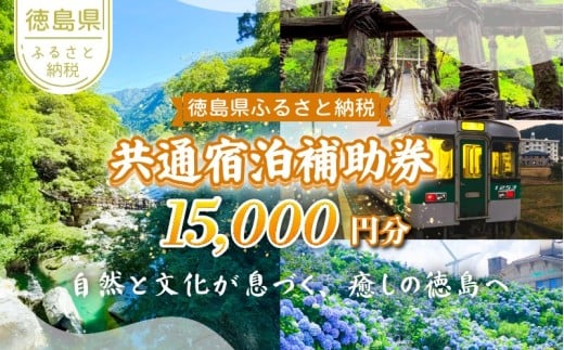 徳島県 宿泊券 15,000円分 徳島県 徳島 すだち 大野 海苔 のり お土産 米 徳島ラーメン ラーメン 道の駅 観光 ホテル 美術館 名物 温泉 グルメ 徳島ヴォルティス フィッシュカツ 半田そうめん 阿波踊り お菓子 日本酒 藍染