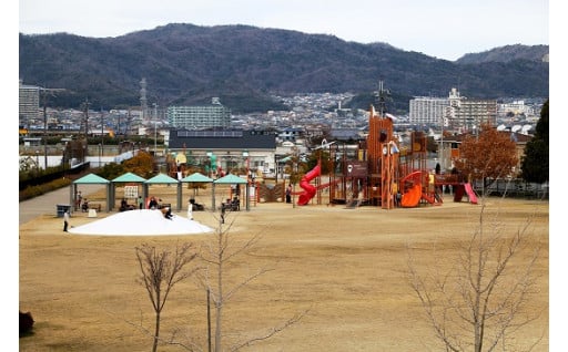 (1) 住んでよかったと思えるまちづくり