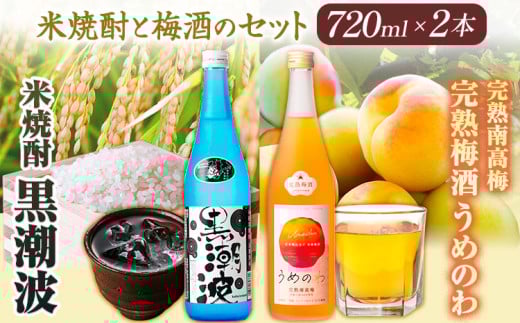 焼酎 焼酎黒潮波 完熟南高梅うめのわ 完熟梅酒 720ml 2本セット 酒のねごろっく《30日以内に出荷予定(土日祝除く)》和歌山県 岩出市 吉村秀雄商店 日本酒 純米本格米焼酎 酒 お酒 サケ さけ 米焼酎 焼酎 梅酒 南高梅 1440ml 送料無料