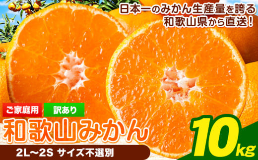 【先行予約】【訳あり/サイズ不選別】 和歌山みかん 約10kg 和歌山県産 《2025年11月中旬-1月中旬頃出荷》たっぷり ご家庭用 2L~2S 産地直送 みかん 旬 蜜柑 ミカン 柑橘 果物 フルーツ 和歌山県 岩出市