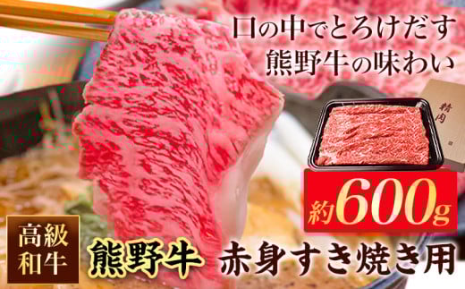 和歌山産 高級和牛 熊野牛 赤身すき焼き用 約600g エバグリーン《30日以内に出荷予定(土日祝除く)》 和歌山県 岩出市 熊野牛 牛 うし 牛肉 熊野牛 和牛 高級