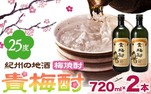 紀州の地酒 貴梅酎 きばいちゅう 25度 720ml×2本 エバグリーン 中野BC株式会社《30日以内に出荷予定(土日祝除く)》和歌山県 岩出市 酒 お酒 地酒 梅焼酎