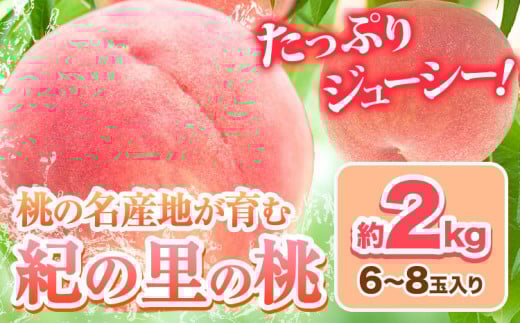 【2026年出荷分先行予約】あふれる果汁で口いっぱい!甘くてジューシーな桃 和歌山県産 紀の里の桃 約2kg (6〜8玉) 《2026年6月中旬-8月中旬頃出荷》  紀の里の桃 送料無料 6~8玉入り 旬の桃を厳選 モモ 果物 フルーツ お取り寄せ 和歌山 送料無料  白鳳 日川白鳳  なつっこ 清水白桃 川中島白桃  八旗白桃 ギフト 果物 くだもの フルーツ お取り寄せ