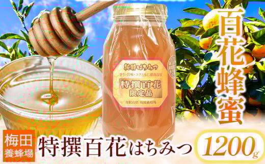 蜂蜜 特撰百花はちみつ 1200g 梅田養蜂場《90日以内に出荷予定(土日祝除く)》和歌山県 岩出市 蜂蜜 はちみつ 百花蜂蜜 1200g