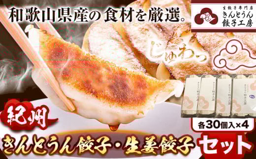 紀州きんとうん餃子 生姜餃子 2種 セット 計120個 ( 30個 入り × 4パック ) きんとうん餃子工房《90日以内に出荷予定(土日祝除く)》 和歌山県 岩出市 餃子 ぎょうざ 惣菜 中華 生姜 冷凍 送料無料