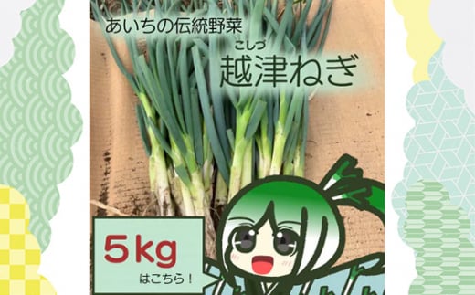 越津ねぎ　約5kg ／ 野菜 国産 伝統野菜 甘み 柔らかい ネギ 送料無料 愛知県 No.142