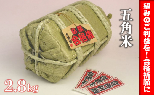 【望みのご利益を！合格祈願に】五角米2.8kg ／ お米 受験 合格祈願 米 北野天神社 五角形 愛知県 特産品 No.180