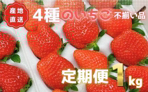 あま～い完熟いちご！【不揃い】1000g(1kg)×3か月定期便