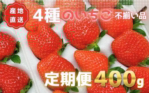 あま～い完熟いちご！【不揃い】400g×3か月定期便