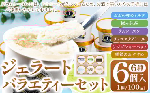 ジェラート 6種 6個 バラエティーセット GELATERIA NAKAICHI《30日以内に出荷予定(土日祝除く)》岩手県 九戸村 ジェラート アイス ミルク チョコ 抹茶 リンゴ ラムレーズン