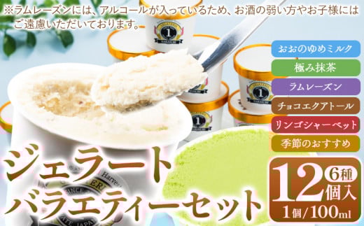 ジェラート 6種 12個 バラエティーセット GELATERIA NAKAICHI《30日以内に出荷予定(土日祝除く)》岩手県 九戸村 ジェラート アイス ミルク チョコ 抹茶 リンゴ ラムレーズン