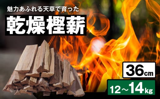 S163-005_魅力あふれる天草で育った乾燥樫薪(天樫 長さ36cm 12~14kg)