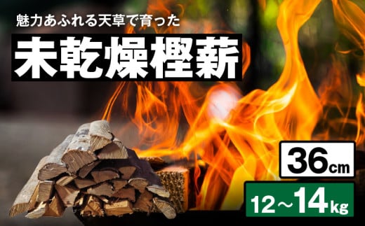 S163-011_魅力あふれる天草で育った未乾燥樫薪(天樫 長さ36cm 12~14kg)