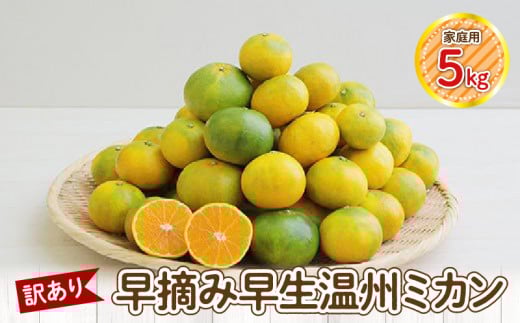 S040-025_[訳あり]早摘み早生温州ミカン 家庭用5kg