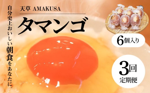 S038-T03_【定期便3回】天草 タマンゴ 6個 卵