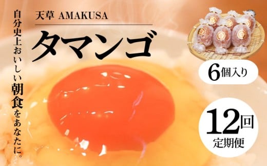 S038-T12_【定期便12回】天草 タマンゴ 6個 卵