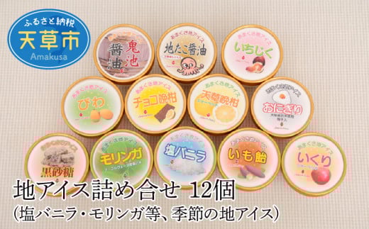 S030-001_地アイス詰め合せ 12個(塩バニラ・モリンガ等、季節の地アイス)