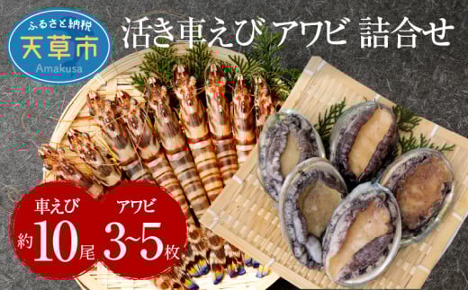 S002-003_活車海老とアワビ詰合せ 車海老 約10尾 アワビ 3~5枚