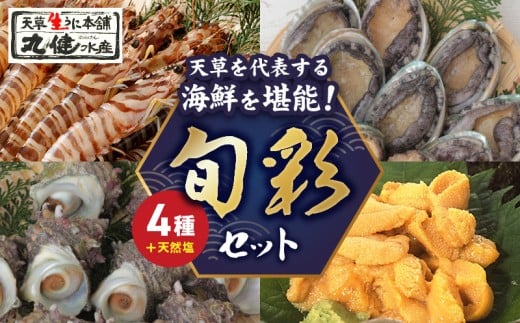S002-005_旬彩セット(活き車海老・活きあわび・活きサザエ・殻出し生うに・天然塩)