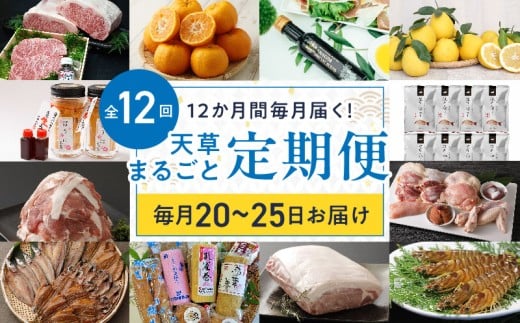 S999-T02_【定期便12回】天草まるごと定期便!12か月間毎月お届け(数量限定!)