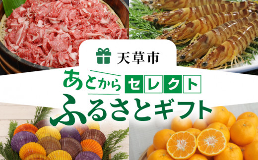 S999-030_あとからセレクト【ふるさとギフト】３０万円