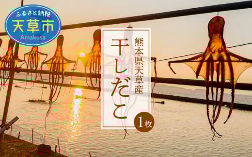S116-001_熊本県天草産干しだこ 1枚
