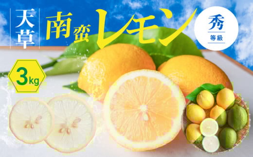 S131-003_天草南蛮レモン 等級「秀」3kg