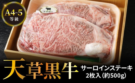 S074-013_天草黒牛 サーロイン ステーキ 2枚入 約500g 黒毛和牛 A4～5等級