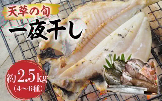 S123-002_天草の旬 一夜干し