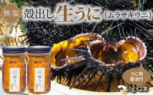S002-022_殻出し生うに(ムラサキウニ)50g×2本 うに用醤油付【先行受付】 生うに ミョウバン 不使用 天然 濃厚 新鮮 無塩 高評価 ムラサキウニ ウニ 瓶詰 海鮮 軍艦巻き うに丼 うにパスタ お取り寄せ お取り寄せグルメ 熊本県 天草市 送料無料