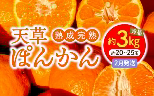 S117-004_香りを食す!熟成完熟天草ぽんかん 2月発送 約3kg秀品〈先行受付〉