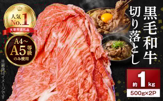 S001-001-03_【3月発送】A4~A5等級 黒毛和牛 切り落とし 1kg(500g×2P)