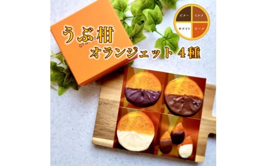 ふるさと納税 天草市 天草二江の天然赤うに 60g_S157-004 （熊本