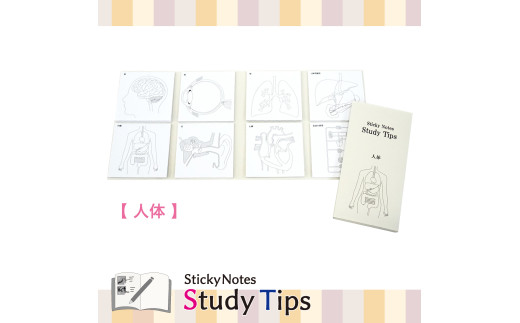 5-3_人体付箋 【Sticky Notes Study Tips】 (スタディチップス) 人体｜付箋 人体 学習 付せん 勉強 セット 文具 メモ プレゼント 便利 書き込み 役立 塾 メモ帳 ギフト 子供 子ども 孫 受験 予習 復習 宿題 8種類 ブック型