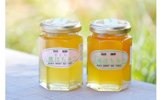 13-59_入鹿はちみつ180g 2本セット