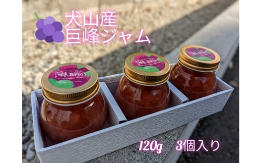 10-36_犬山産「巨峰ジャム」120g 3個入り | ジャム セット 3個 ぶどう ブドウ 巨峰 洋菓子 和菓子
