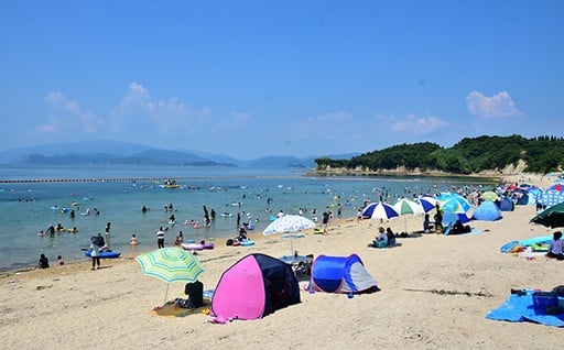 町長におまかせ